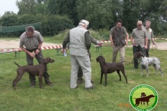 Zuchtschau Sep. 2015