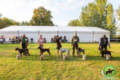 IKP-Bilder Sep. 2017