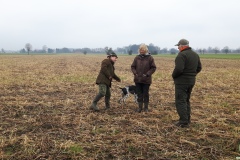 Derby und VJP April 2018