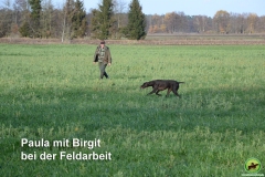 Kleemann Bilder Vioel Okt. 2018