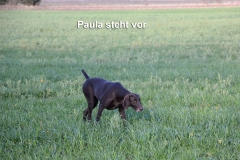 Paula-steht-vor
