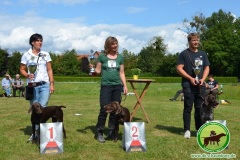 Zuchtschau DK Juni 2021 