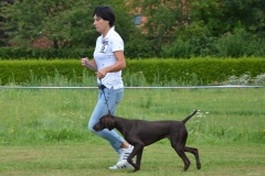 Jenna_vom_Nordhof_Web