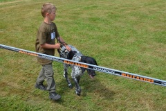 Naja_vom_Weserland_Web