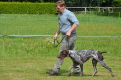 Orelie_vom_Weserland_Web
