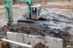 Ausbaggern und Wegebau Vereinsteiche Jan. 2021