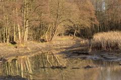 IMG-20201228-WA0002