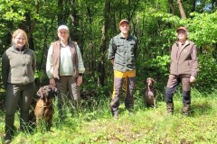 VSwP & VFsP Mai 2025